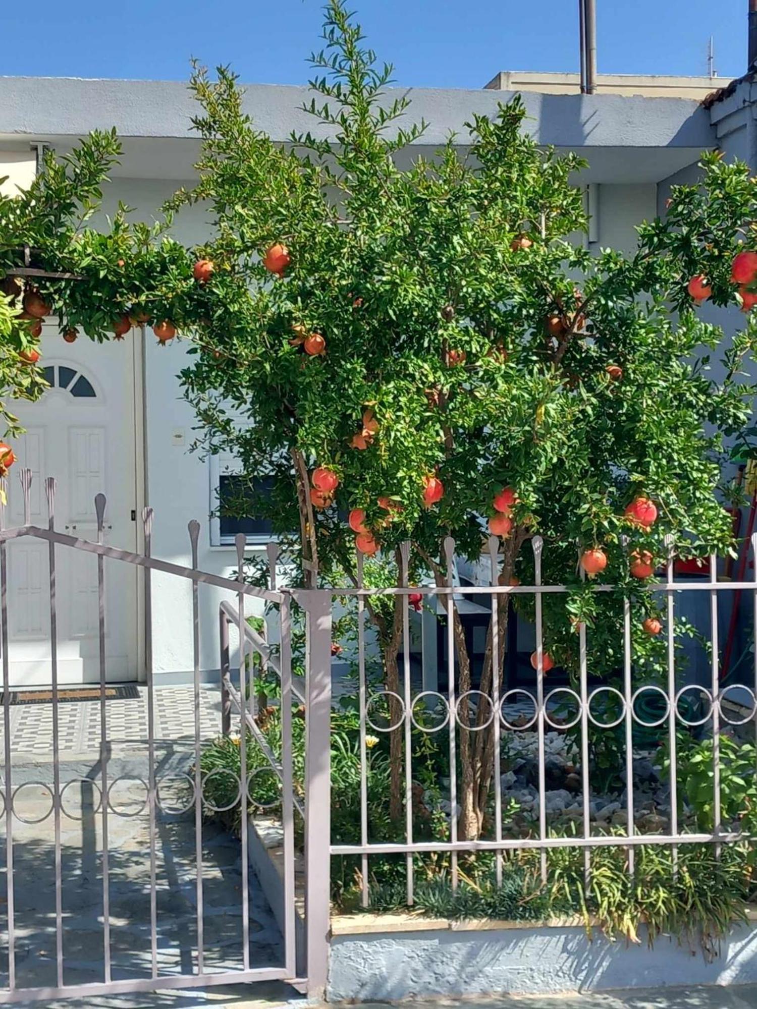 Anastasia’s Home Nea Peramos (Macedonia) Exterior foto